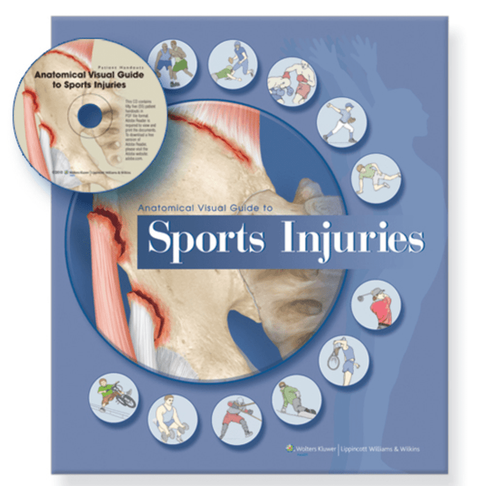 Anatomical Visual Guide To Sports Injuries — Medshop Australia