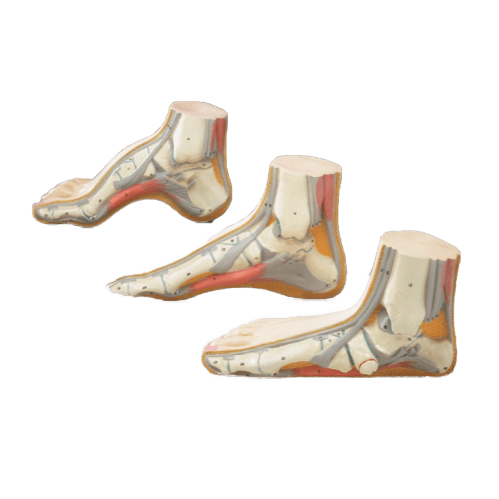 Set of Three Feet — Medshop Australia